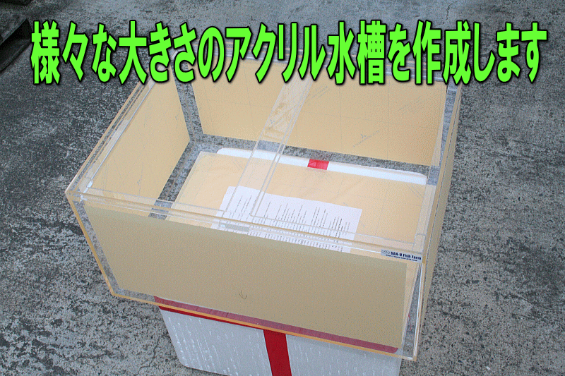 010.gif?1749427200074