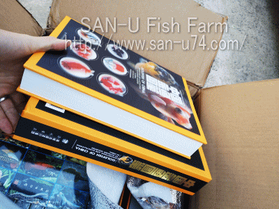 【未開封新品】シュリンク有　中国金魚図鑑・専門書 未開封新品】シュリンク有 中国金魚図鑑・専門書 未開封新品